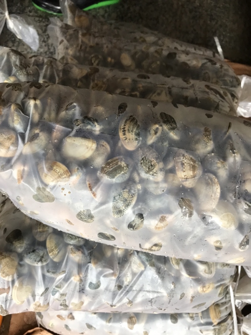 鲜活大花甲无沙花甲鲜活发货吐沙花甲