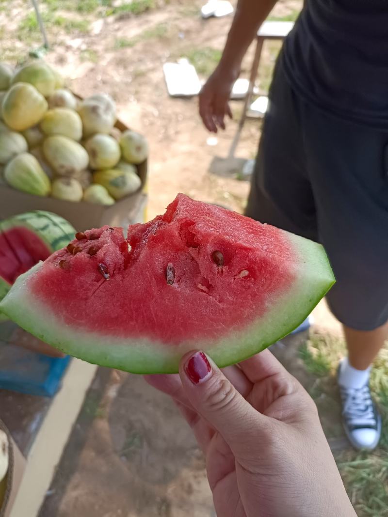 西瓜