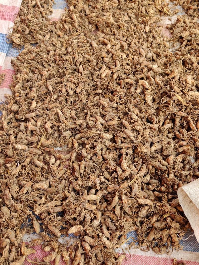 金蝉花选品干净无杂质手工选干货安徽产地