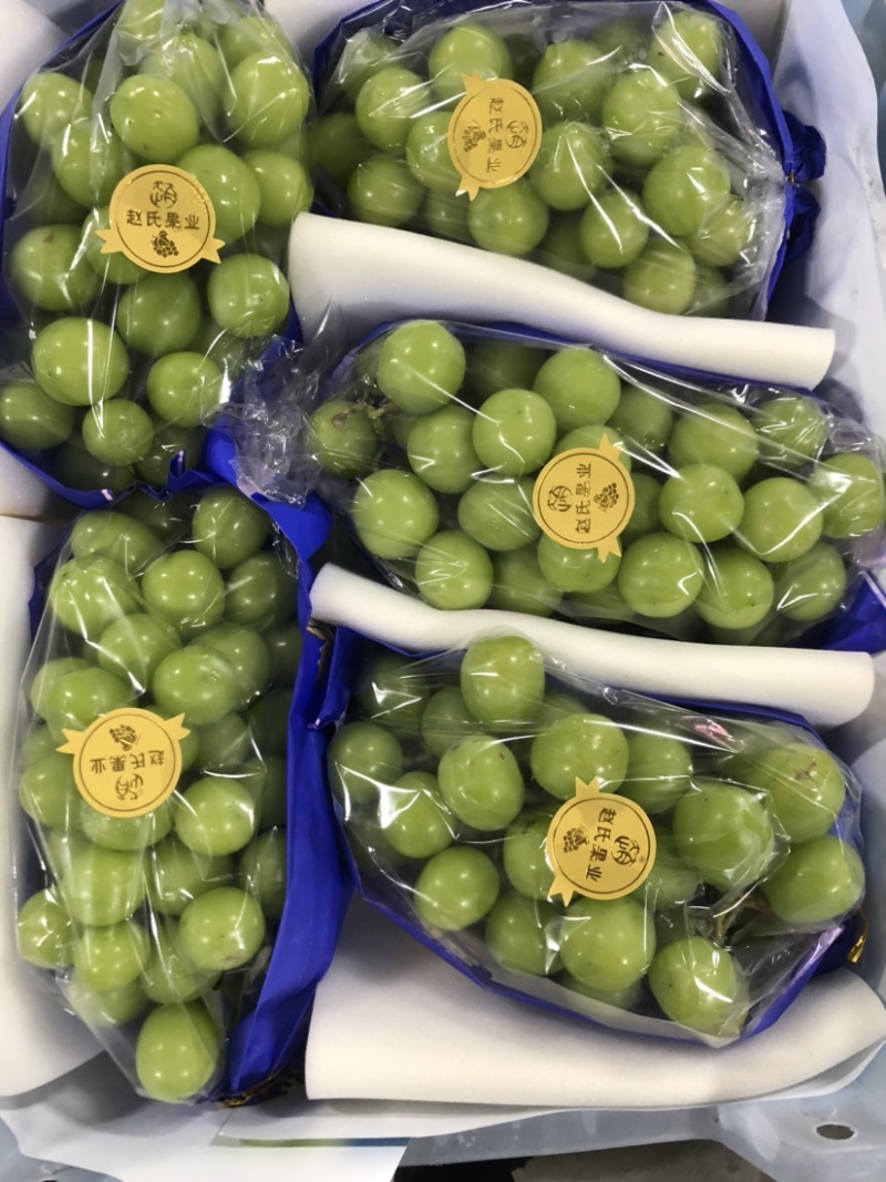 阳光玫瑰精品果提前预热，今年果粒，串行都很漂亮，