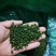九叶青花椒干椒批量出售，色泽鲜艳，开口率高，欢迎采购！