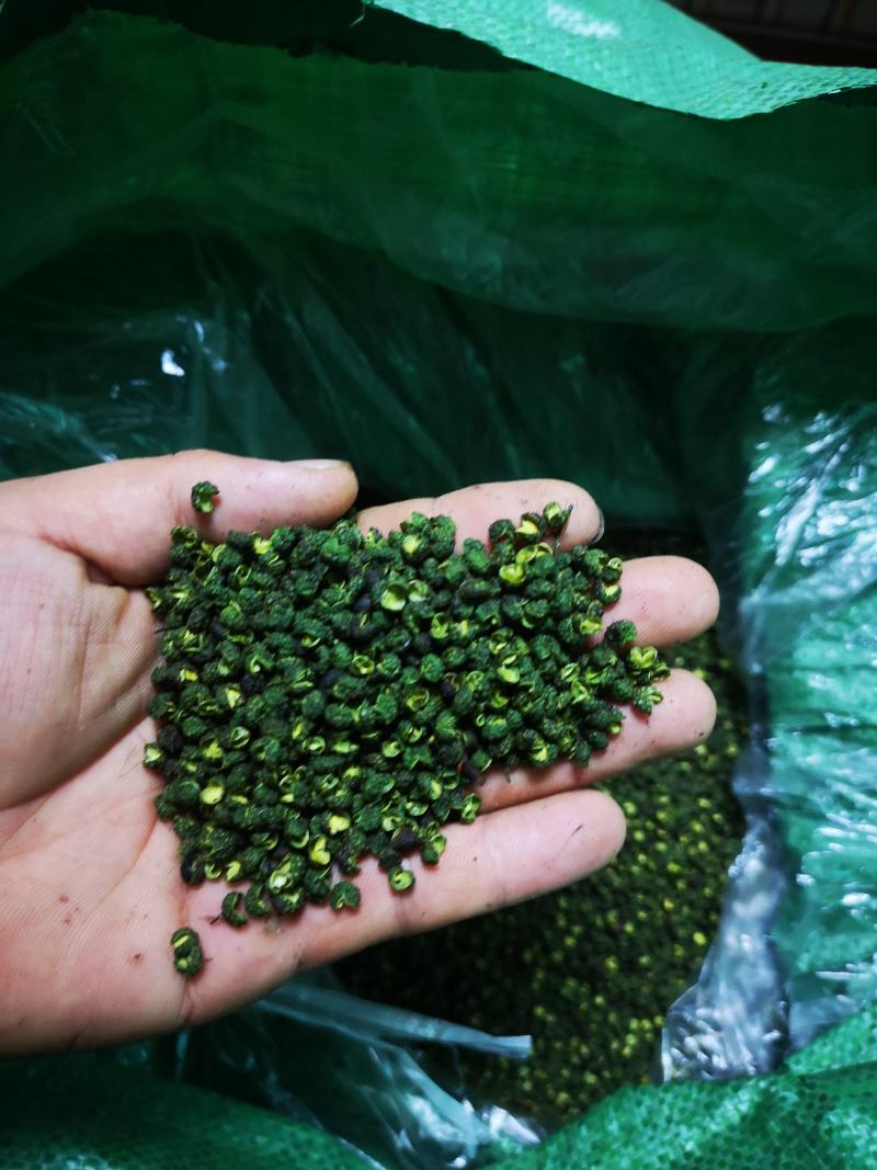 九叶青花椒干椒批量出售，色泽鲜艳，开口率高，欢迎采购！