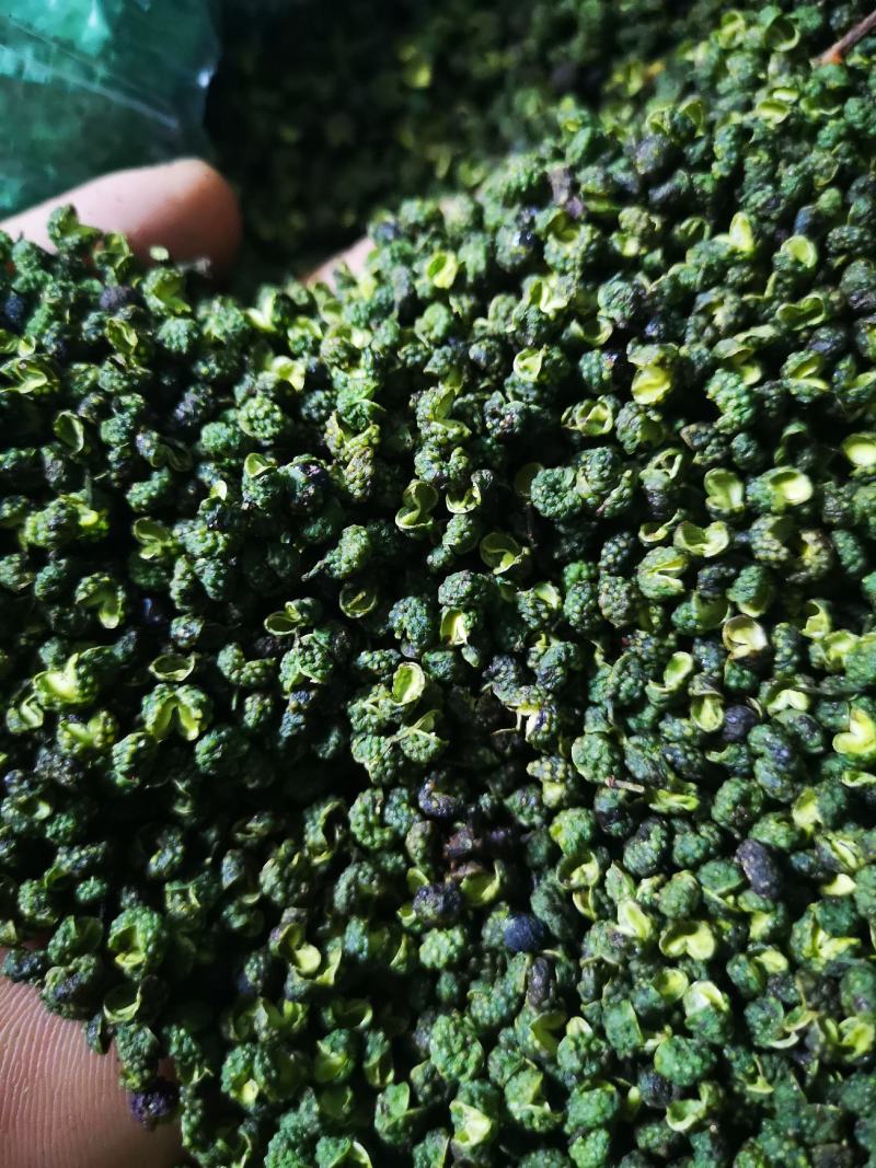 九叶青花椒干椒批量出售，色泽鲜艳，开口率高，欢迎采购！