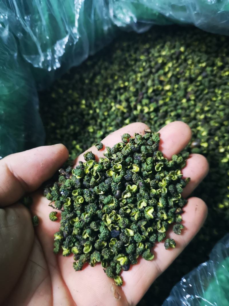 九叶青花椒干椒批量出售，色泽鲜艳，开口率高，欢迎采购！