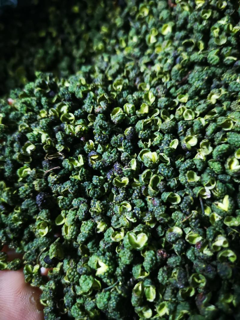 九叶青花椒干椒批量出售，色泽鲜艳，开口率高，欢迎采购！