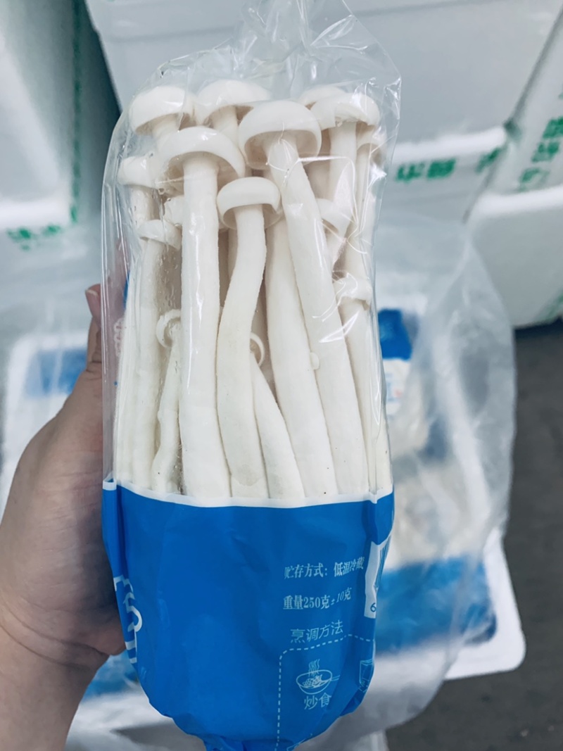 海鲜菇，基地直供，一件也是批发价