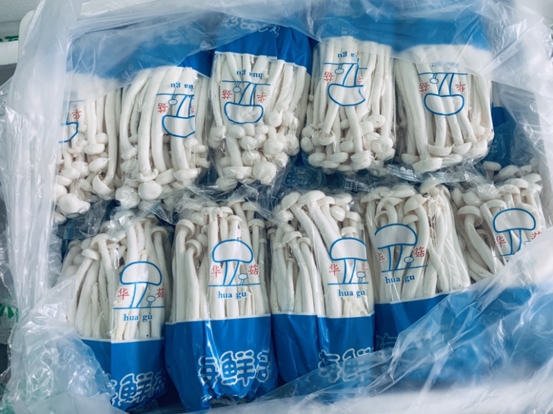 海鲜菇，基地直供，一件也是批发价