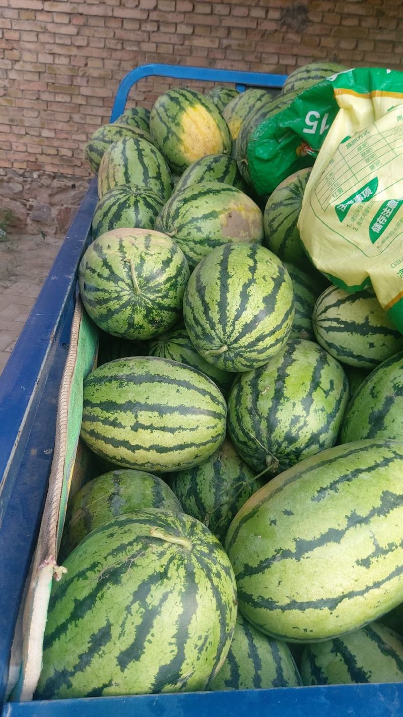 瓜果类