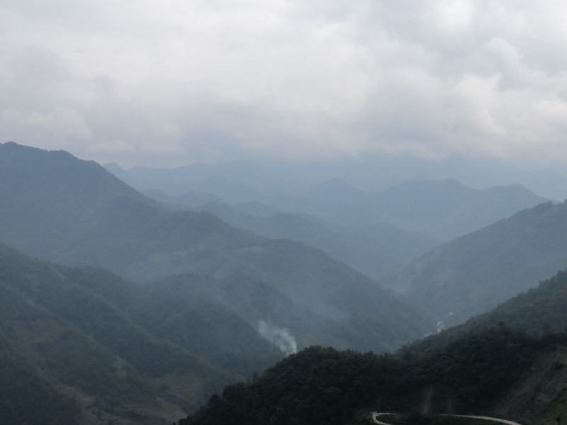 海拔2000米的高山药花蜂蜜