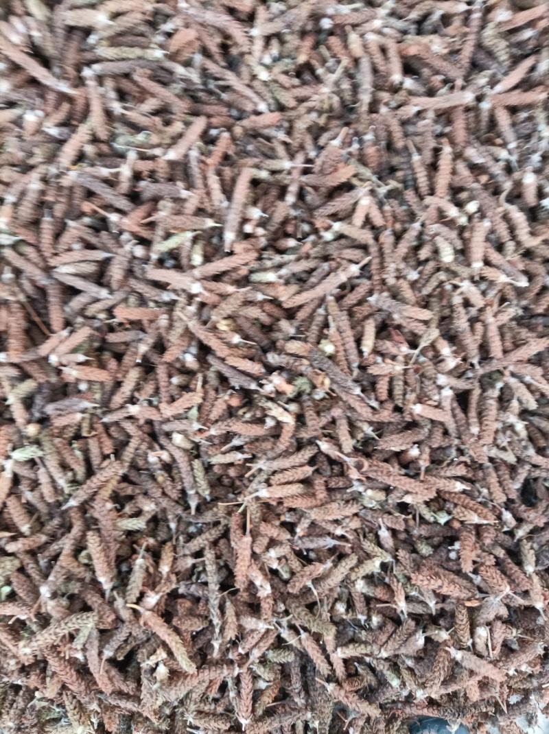 夏枯球，产地直销一手货，货源充足，大花，光头，统货齐全。