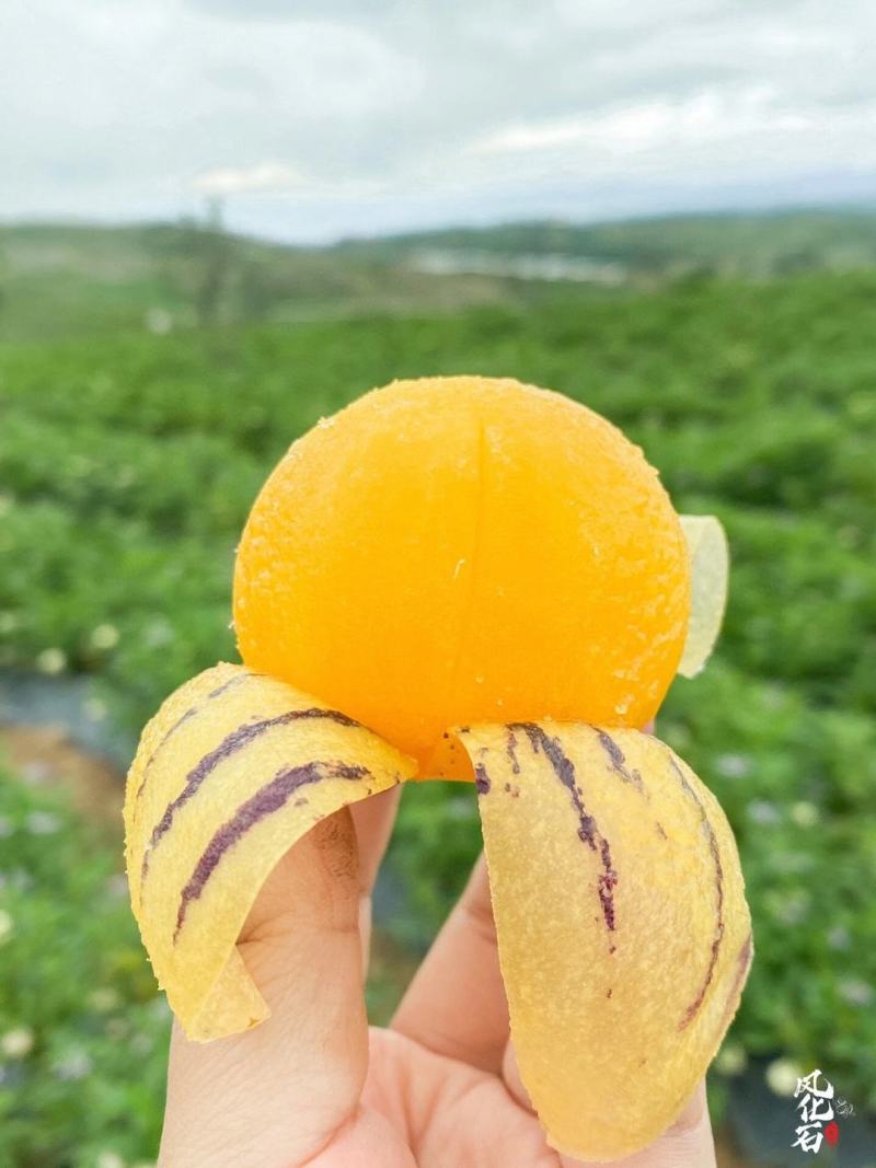 包邮云南石林人参果，现摘发货当季云南水果