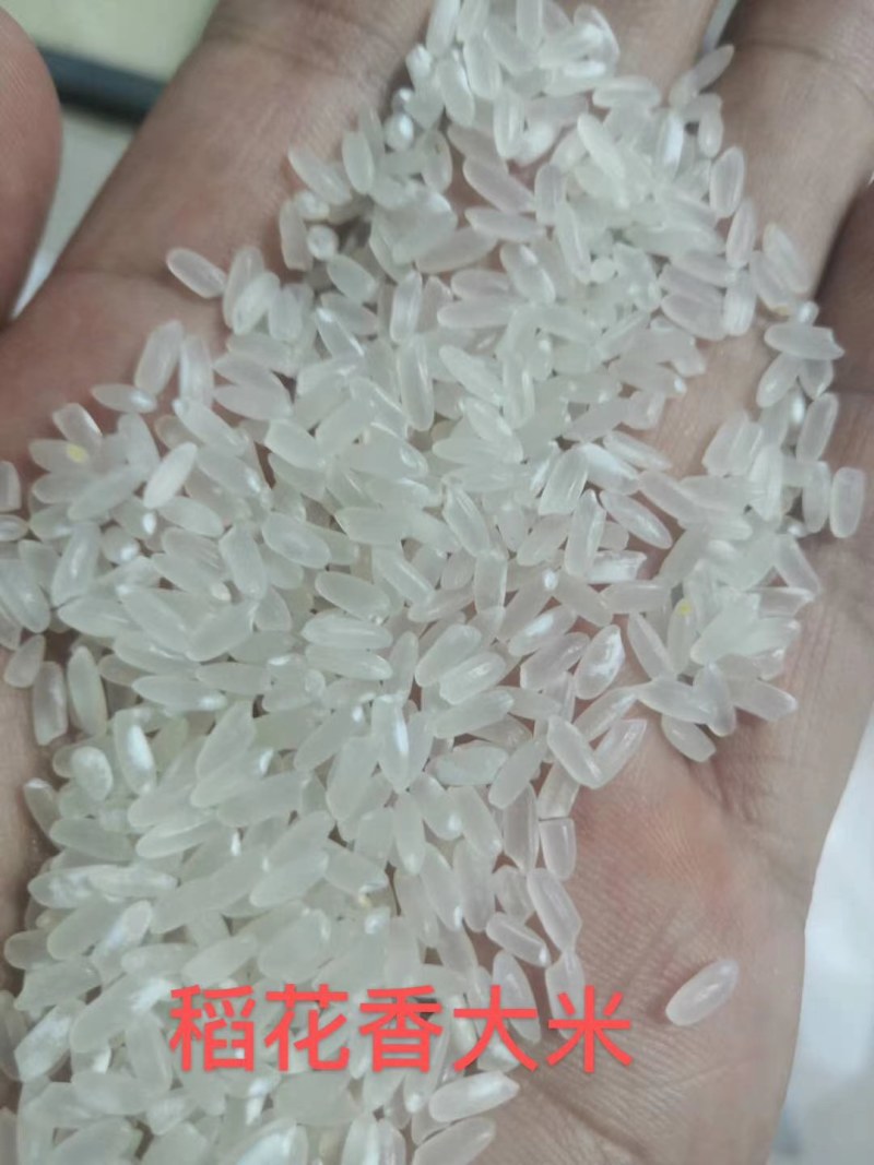 农场直供，自有基地种植，饼肥酵素有机品质，把住病从口入关