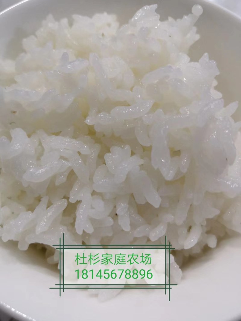 农场直供，自有基地种植，饼肥酵素有机品质，把住病从口入关