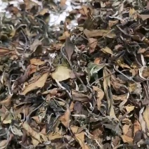 2020年福鼎白茶寿眉散装一级荒野白茶老白茶