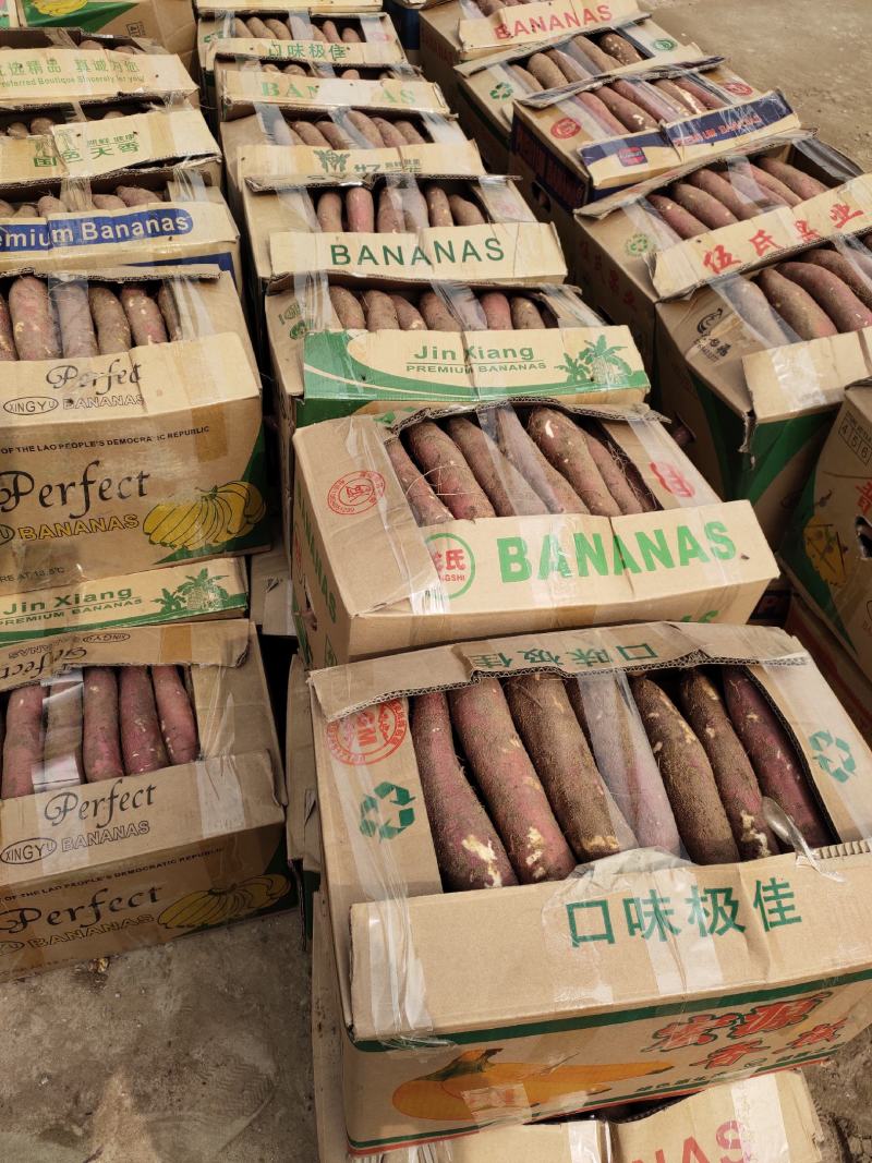 【热卖】陕西大荔板栗红薯，对接各大电商，欢迎联系！量大从