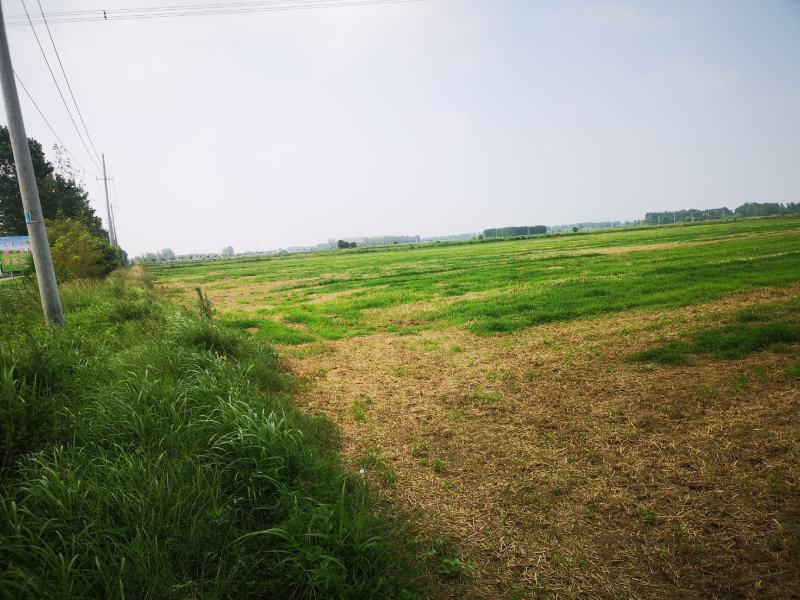 优质麦茬地，水电路三通。适合种植各类经济作物，可以建大棚