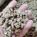 怀牛膝牛膝统货选货无硫一公斤起批