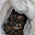 肉苁蓉新疆软大云个子片子片大均匀一公斤起包邮