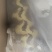 发财树种子
