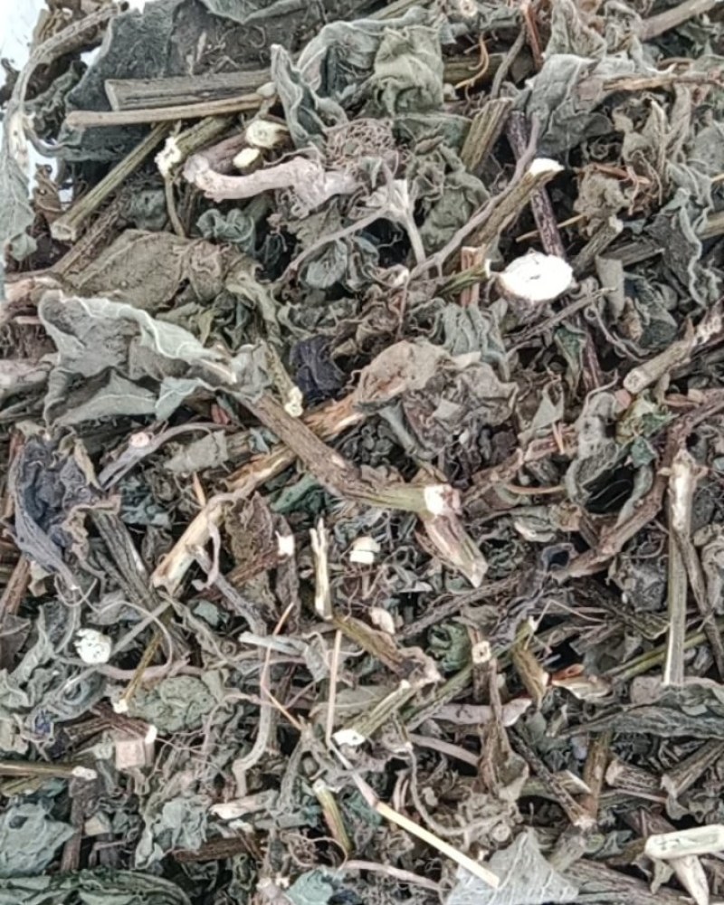 野生倒扣草！手工片一手货源！