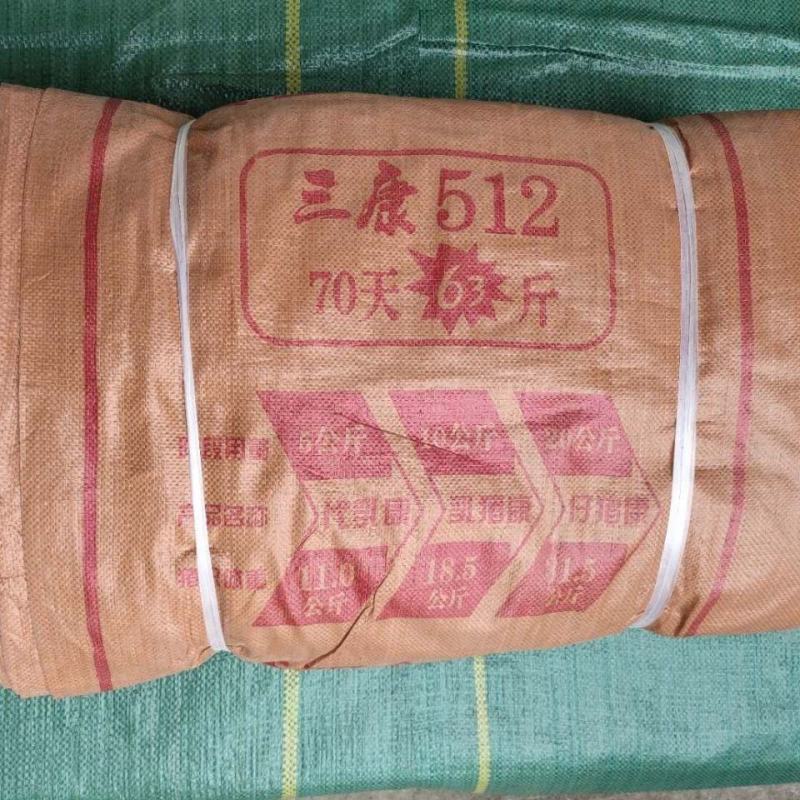 二手编制袋直销物美价廉