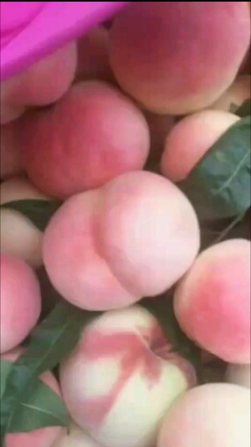 桃