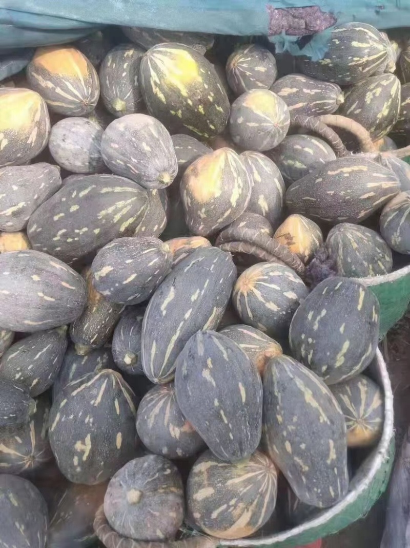 广西香芋南瓜支持代发产地直销一手货源