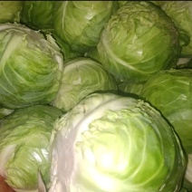 新鲜包菜