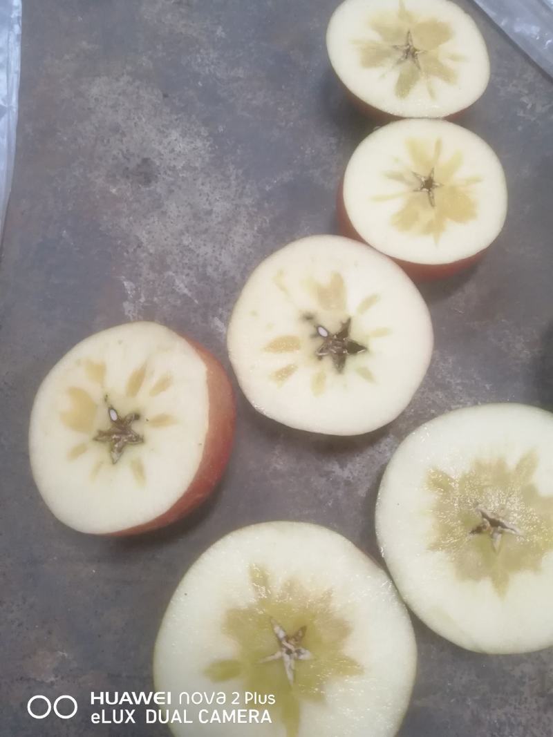昭通冰糖心丑苹果华硕红露新世纪大量有货