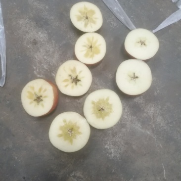 昭通冰糖心丑苹果华硕红露新世纪大量有货