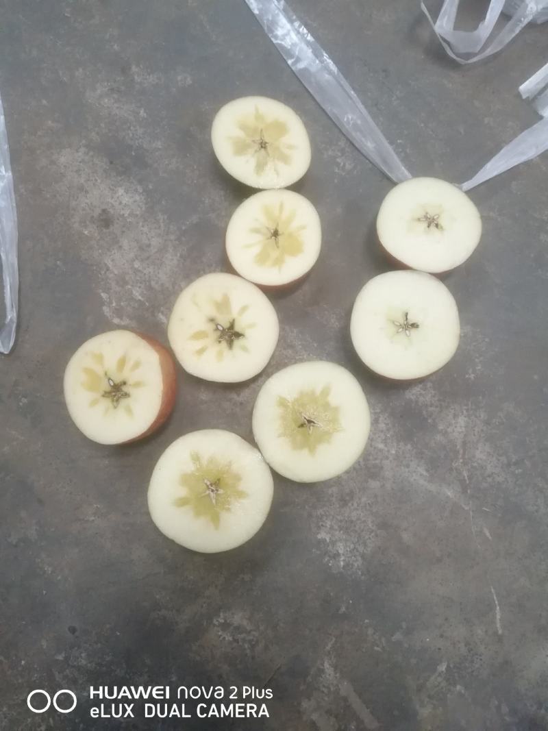 昭通冰糖心丑苹果华硕红露新世纪大量有货