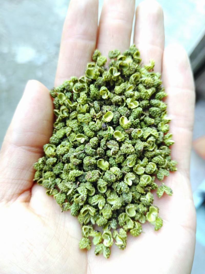 【包邮】5斤起售特麻云南青花椒青麻椒金阳青花椒转红椒