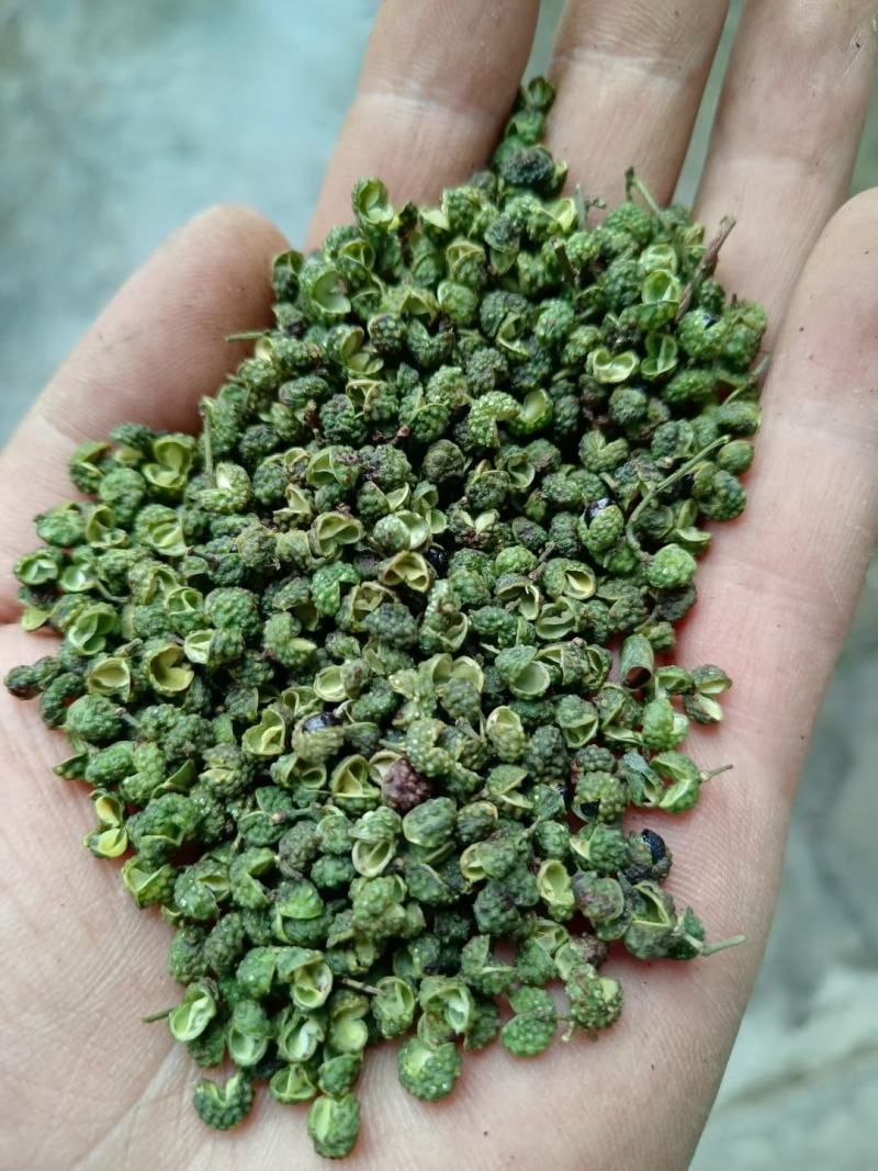 【包邮】5斤起售特麻云南青花椒青麻椒金阳青花椒转红椒