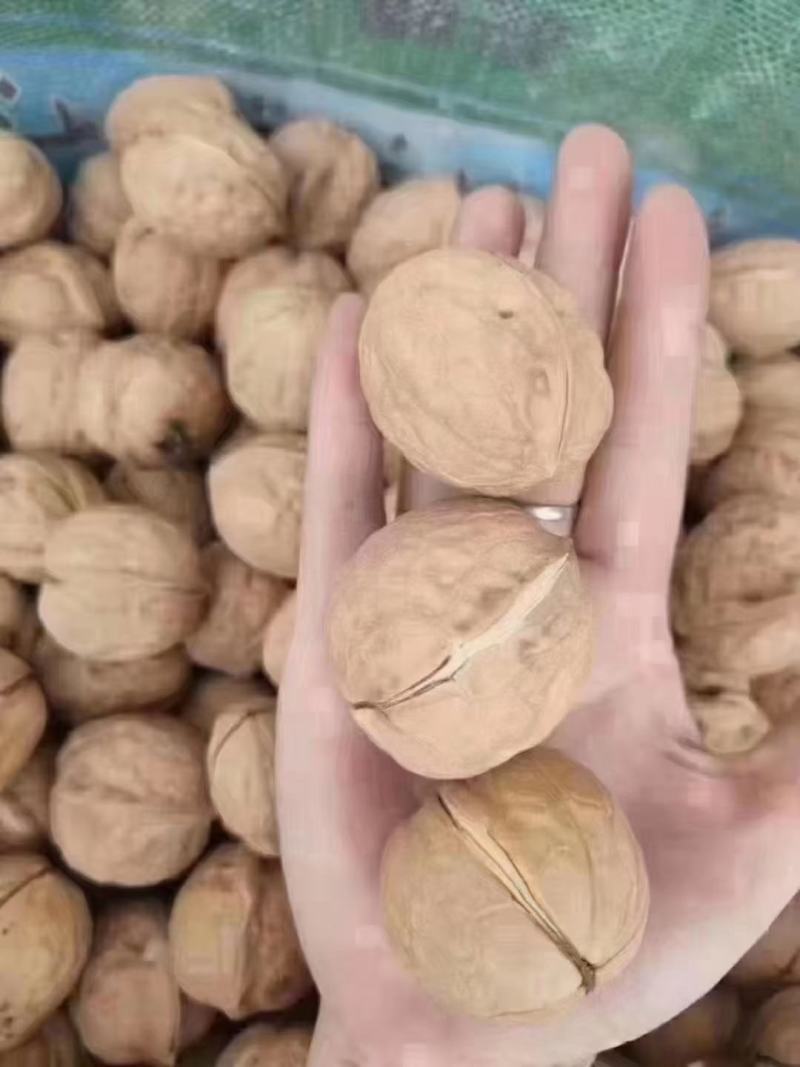 2020新疆核桃薄壳散装新货原味薄皮核桃地摊热卖产品