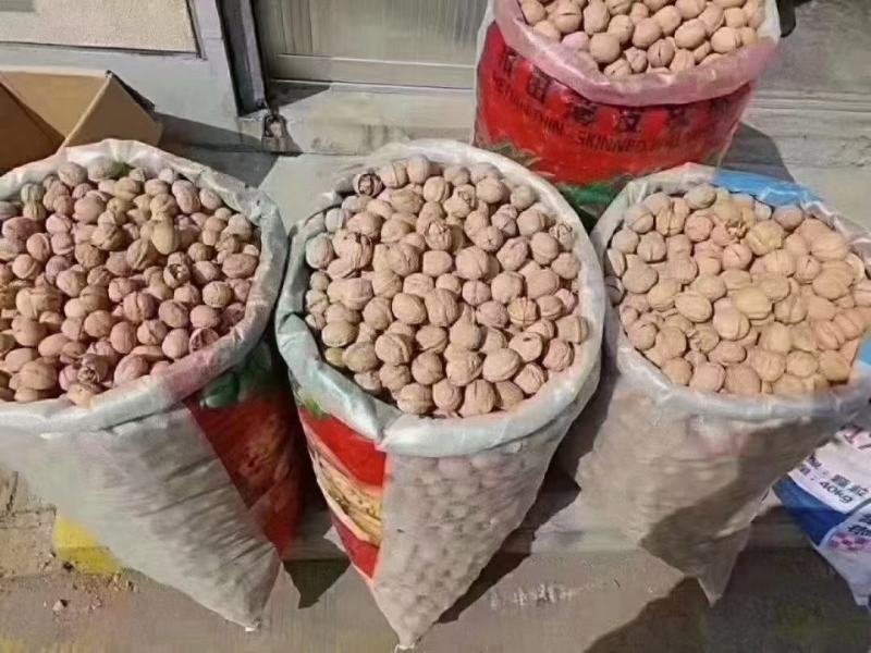 2020新疆核桃薄壳散装新货原味薄皮核桃地摊热卖产品