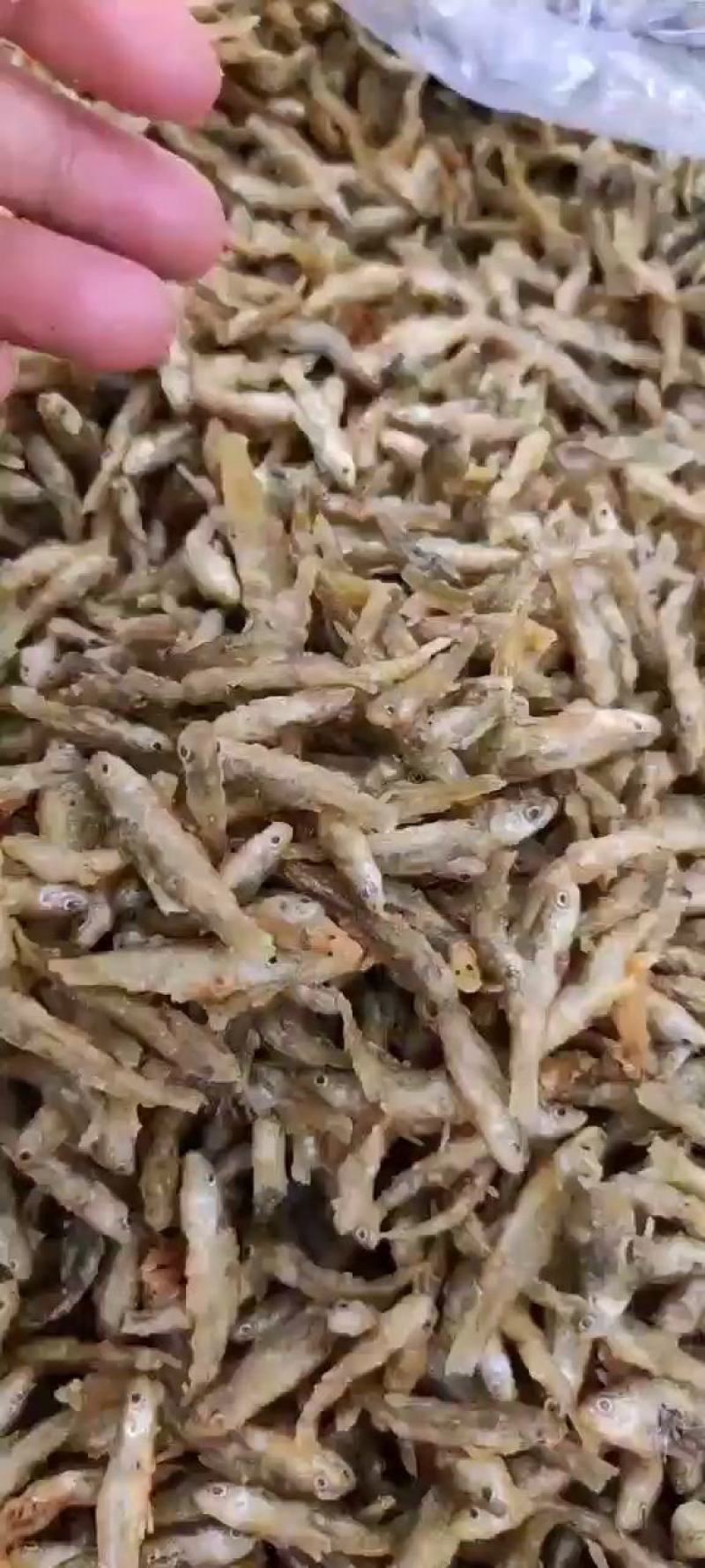 油炸麦穗鱼无沙无苦，香酥肉嫩，9成干2/3.4/5公分