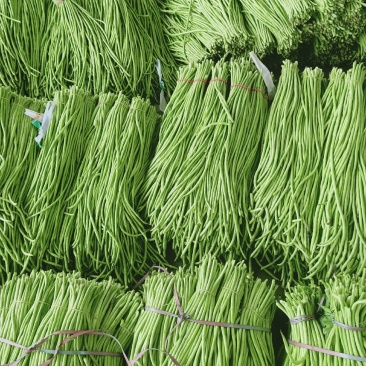 长豆角，翠绿无虫眼，大量有货
