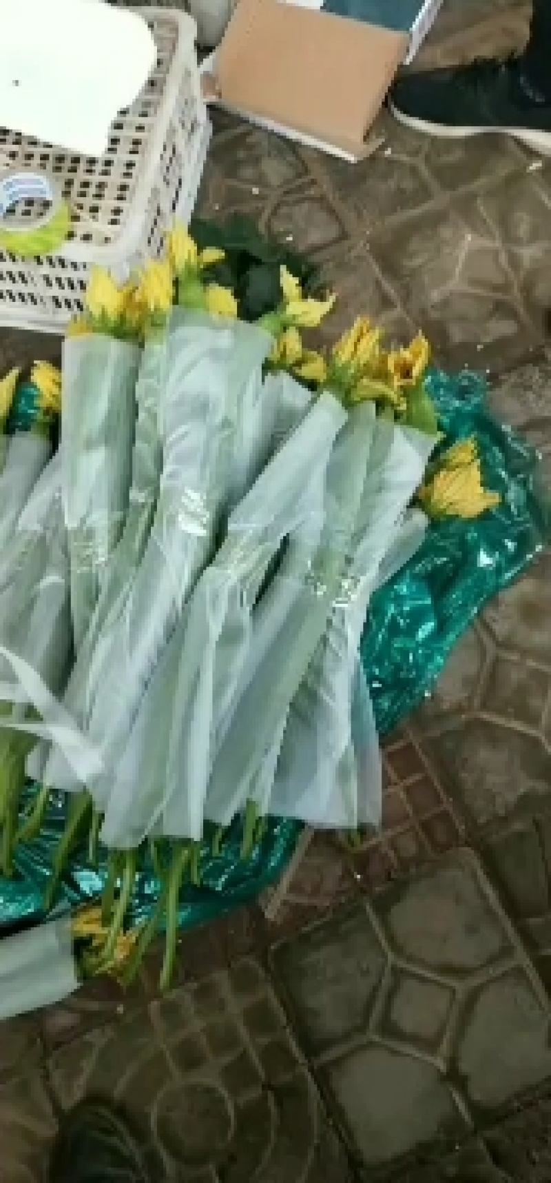 鲜花丝瓜