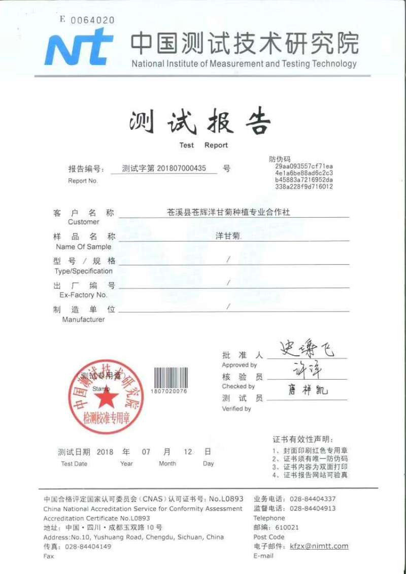 罗马洋甘菊花