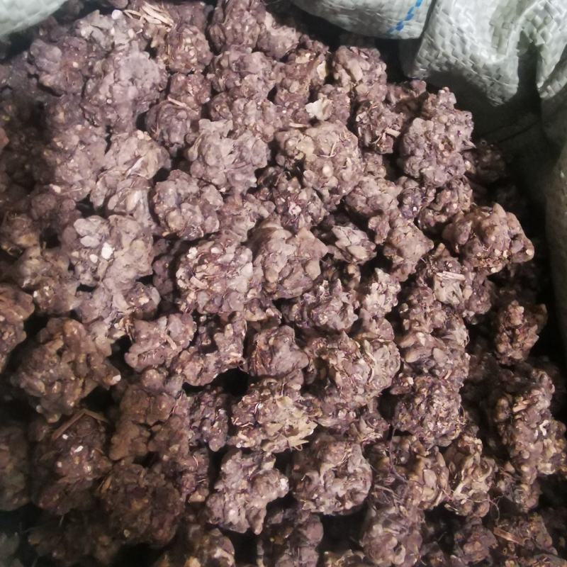 猫爪草中药材商铺批发一站式服务报价品种齐全