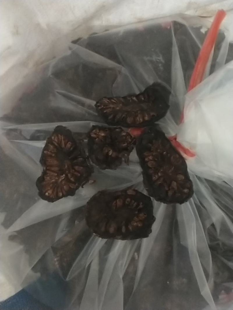 自家种的自产自销诺丽果干有需要的可以联系哦