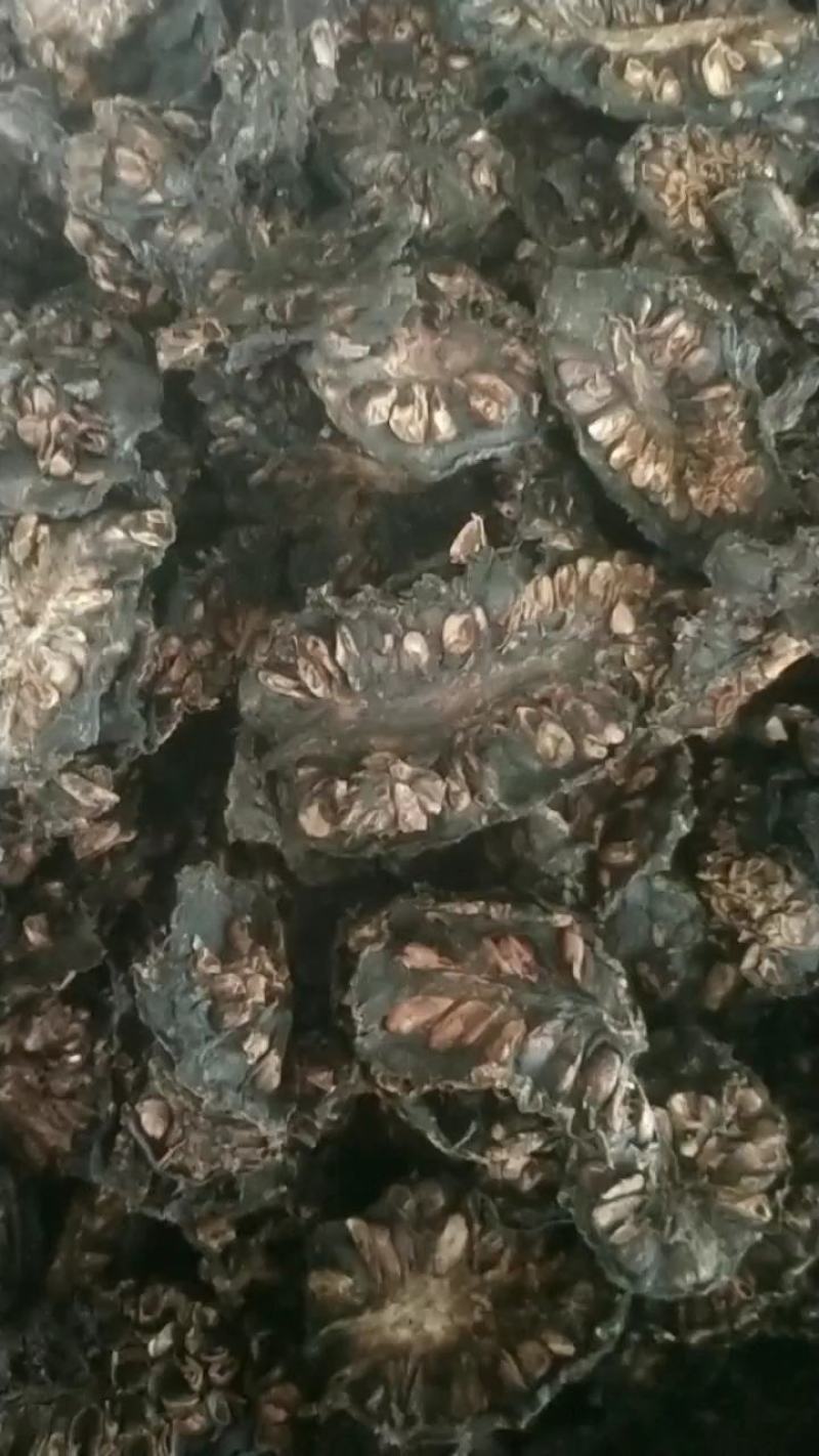 自家种的自产自销诺丽果干有需要的可以联系哦
