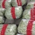应县的大扁已经上市了，白不老，小金豆，各种豆角。