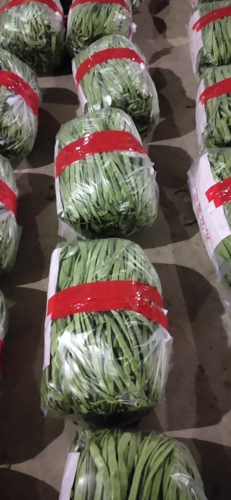 应县的大扁，小金豆，白王，白不老，都上市了。各种豆角。