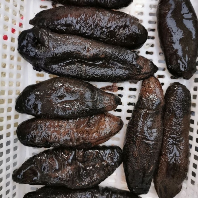 大乌参海参残参酒店食材电商微商社区团购**工厂