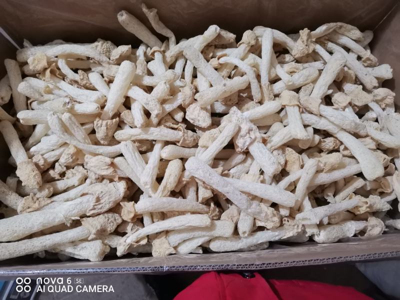 福建古竹荪今年新货半斤特惠装品质保证