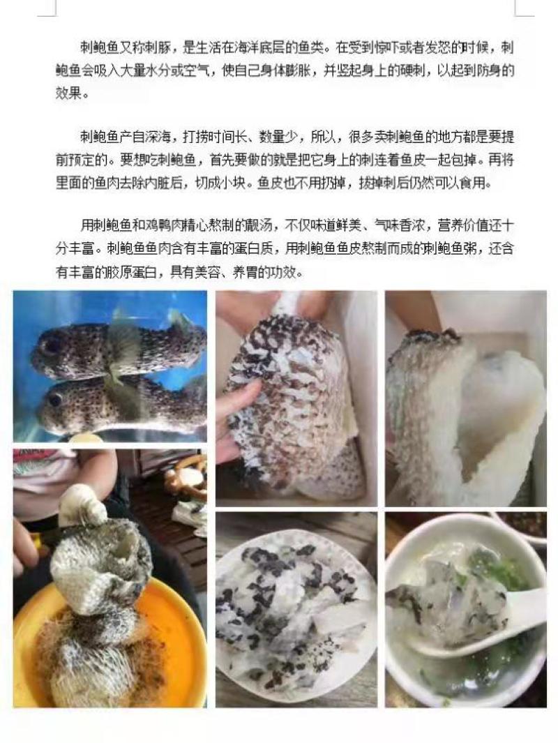 刺豚鱼、海刺猬、刺龟鱼，刺豚皮刺龟鱼皮、海胆皮
