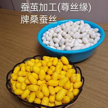 自产自销蚕茧，品质保证，欢迎老板联系