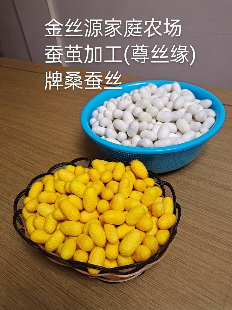 自产自销蚕茧，品质保证，欢迎老板联系