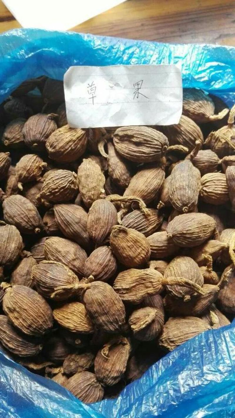 正宗云南草果种子草果粉农家无硫草果卤肉炖肉香料草果